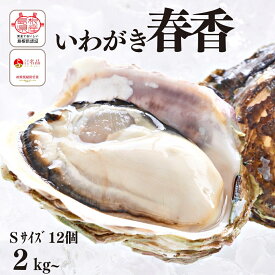 【ふるさと納税】【いわがき 殻付き Sサイズ 12個】 岩牡蠣 生食可 冷凍 牡蛎 牡蠣 かき カキ 岩牡蠣 いわがき 冷凍 父の日 母の日 バーベキュー ギフト