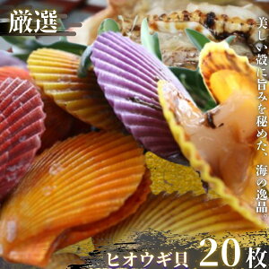 yӂ邳Ɣ[ŁzqIEML20Zbg ʌ Ԍ菤iIHFN₩ɁI L AEghA Lv CNBBQ z^e Lkt F i