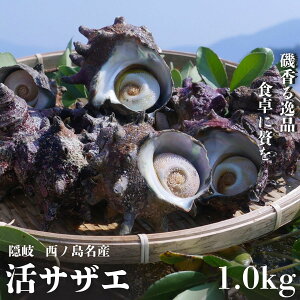 yӂ邳Ɣ[ŁzR|IlꂽđNxQ lꊈTUG1.0kgZbg - ̍ƊČb݂H ① TUG h L CN BBQ  Ă hg o[xL[ Mtg 
