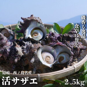 yӂ邳Ɣ[ŁzR|IlꂽđNxQ lꊈTUG2.5kgZbg {C̗̐VNȂ͂܂!@VR VN v[g Ă o[xL[ BBQ Mtg CN