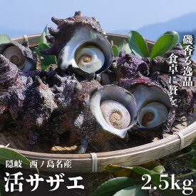 【ふるさと納税】コリ旨！獲れたて鮮度抜群 島獲れ活サザエ2.5kgセット 日本海の離島の新鮮なさざえをお届けします!　天然 新鮮 プレゼント 壺焼き バーベキュー BBQ ギフト 海鮮お取り寄せ　産地直送 ギフト 西ノ島町 希少 高品質 安心 安全 大容量 濃厚