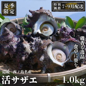 【ふるさと納税】【限定価格！7～9月配送希望の方！】コリ旨！獲れたて鮮度抜群 島獲れ活サザエ1.0kg満足セット - 磯の香りと海の恵みを食卓へ 冷蔵便 サザエ 栄螺 貝 海鮮 BBQ さざえご飯 壺焼き 刺身 バーベキュー ギフト お中元 御中元　島サザエ　新鮮 天然