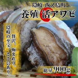 【ふるさと納税】【☆選べる発送時期！】養殖アワビ 肉厚ぷりぷり！極上のアワビ！ 約900g程 活アワビ アワビ あわび 養殖 あわびステーキ 高級あわび 特大あわび 刺身 プレゼント 贈与 ギフト バーベキュー BBQ 贈り物に 年末年始 お歳暮