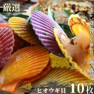 yӂ邳Ɣ[ŁzԌIHɍʂYA܂ŊC̕΁uB̃qIEMLvqIEML {B L 10Zbg VN h ڏĂ BBQ CN L  h