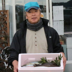 【ふるさと納税】うみさちセット 旬の隠岐で採れたてのお魚をご家庭で！ 下処理も行うので安心して召し上がれます！ 魚 鮮魚 詰め合わせ セット 魚介類 天草鮮魚店 旬