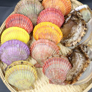 yӂ邳Ɣ[ŁzVR  Ar qIEML L Zbg