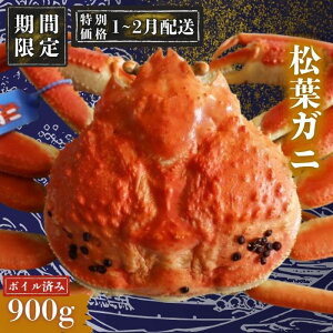 �y�ӂ邳�Ɣ[�Łz�y���Ԍ���z���I1�`2��������]�̕��ցI���t�K�j 900g�q�{�C���r���t�K�j �}�c�o�K�j �^�O�t�� ����T�C�Y ���t�J�j �I ���� ���t�I ��l�C �������� �M�t�g ���蕨 ���^ 