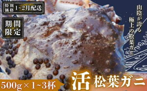 yӂ邳Ɣ[ŁzyԌzI1`2]̕ցIztKj qJjrtKj }coKj ^Ot11{`2{\聄@Iׂeʁ500g 1000g 1500g 1.0kg 1.5kg t