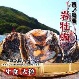 【ふるさと納税】【数量限定！】隠岐のいわがき いわがき 6〜8個 セット 岩牡蠣 岩がき 隠岐 隠岐のいわがき 島で採れるプリプリ大粒でクリーミーな味わいをぜひ 大人気 大粒 牡蠣 カキ 岩ガキ 新鮮 おすすめ 人気 濃厚 クリーミー