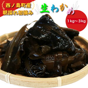 yӂ邳Ɣ[ŁẑꏉEݐ킩 1kg`3kg@ymzʂőN₩IƂ낯H 킩 1`3kĝ꒼ց@VN VR