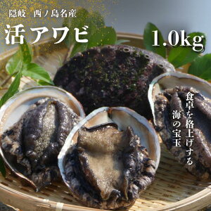 yӂ邳Ɣ[Łz VRAr  VR  1kg 1L B m VR VN уXe[L@ 傠 уMtg o[xL[ BBQ CN уo^[Ă ѐ