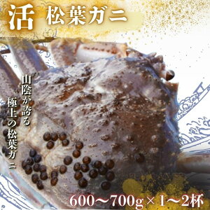 yӂ邳Ɣ[ŁzIׂeʁs\tI11{`2{\聄qrtKj 600`700g 1200`1400g t Jj tI l䥂 CN IX ɖX  ①  Y Hi 