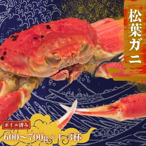 yӂ邳Ɣ[ŁzIׂeʁs\tI11{`2{\聄q{CrtKj 600`700g 1200`1400g 1800g`2100g t Jj tI l䥂 CN IX ɖX  ① 