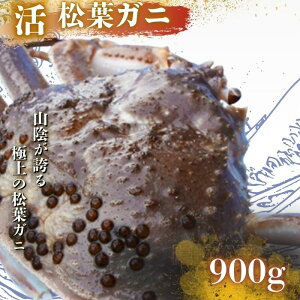 yӂ邳Ɣ[ŁztKjqJjr 900gs\tIE11{`2{\聄 tJj tI l䥂 CN IX ɖX  ①I  I VN  Y Hi lC 