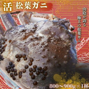 yӂ邳Ɣ[ŁztKjqJjr800g`900g s\tIE11{`2{\聄qJjrtI l䥂 CN IX ɖX  ① I  VN Y Hi l