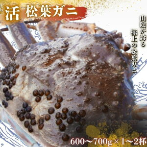yӂ邳Ɣ[ŁztKj qJjr ^OtIׂeʁs\tI11{`2{\聄600`700g 1200`1400g t Jj tI l䥂 CN IX ɖX  ① 