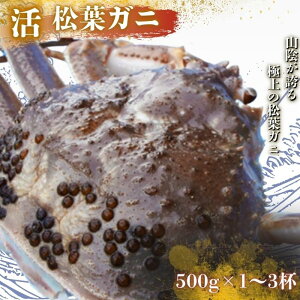 yӂ邳Ɣ[ŁztKj qJjrYCKj ^Ots\tIE11{`2{\聄@Iׂeʁ500g 1000g 1500g 1.0kg 1.5kg Y  I   tKj t