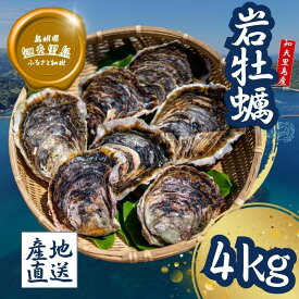 【ふるさと納税】知夫里島産 岩牡蠣 4kg ブランド 岩牡蠣 生食可 牡蛎 牡蠣 かき