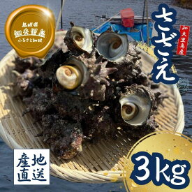 【ふるさと納税】知夫里島産　天然活さざえ　3kg