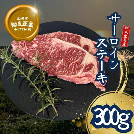 【ふるさと納税】知夫里島 経産牛サーロインステーキ300g ステーキ 牛肉 経産牛 放牧 黒毛和牛 国産 サーロイン 赤身