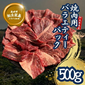 【ふるさと納税】知夫里島 経産牛焼肉用バラエティーミックス500g経産牛/焼き肉/バーベキュー/鉄板焼き/牛肉/黒毛和牛/ セット/冷凍