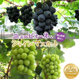 yӂ邳Ɣ[ŁzԂǂ 2025N j[ sI[l1[EVC}XJbg1[i1[500gOj܂Ԃǂ | t[c ʕ  Ԃǂ uhE j[sI[l VC}XJbg 