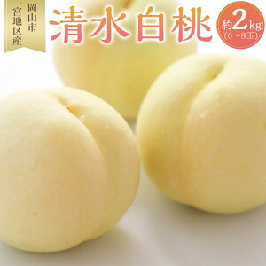 yӂ邳Ɣ[Łz 2026N   6`8ʓ 2.0kg Rs{nY   t[c ʕ Mtg |  t[c ʕ  Hi lC  
