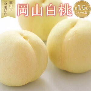 yӂ邳Ɣ[Łz 2026N R  5`6ʓ 1.5kg Rs{nY   t[c ʕ Mtg |  t[c ʕ  Hi lC  