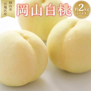 yӂ邳Ɣ[Łz 2026N R  6`8ʓ 2.0kg Rs{nY   t[c ʕ Mtg |  t[c ʕ  Hi lC  