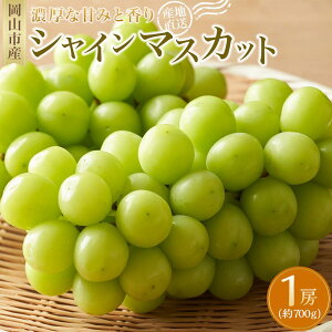 yӂ邳Ɣ[ŁzԂǂ 2025N s\ VC }XJbg 1[ 700g }XJbg uhE  RsY Y t[c ʕ Mtg@ | t[c ʕ  Hi lC  