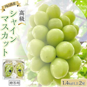 �y�ӂ邳�Ɣ[�Łz�Ԃǂ� 2026�N ���R���Y ���� �V���C���}�X�J�b�g 1.4kg�ȏ� 2�[ �����p��9���ȍ~������ | �t���[�c �ʕ� �������� �V���C���}�X�J�b�g �}�X�J�b�g ���� �Ԃǂ� �u�h�E ���� �M