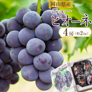 yӂ邳Ɣ[ŁzԂǂ 2026N RY j[sI[l 4[ 2kg  ԂǂAC | t[c ʕ  Hi lC  