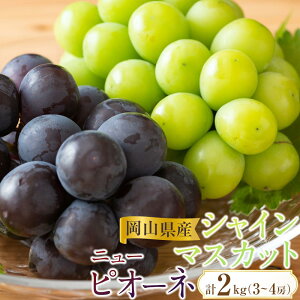 yӂ邳Ɣ[ŁzԂǂ 2026N RY VC}XJbgEsI[l 2 lߍ킹 v2kgi3`4[jԂǂAC | t[c ʕ  Hi lC  