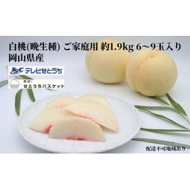 【ふるさと納税】桃 2024年 先行予約 岡山 白桃（晩生種）ご家庭用 約1.9kg 6～9玉入り もも モモ 岡山県産 国産 フルーツ 果物 直送！せとうちバスケット[No.5220-1278] | もも フルーツ 果物 くだもの 食品 人気 おすすめ 送料無料