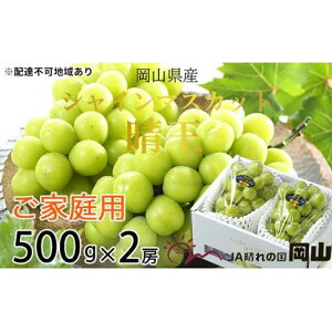 yӂ邳Ɣ[ŁzԂǂ 2026N ƒp VC }XJbg  500g×2[ uhE  RY Y t[c ʕ | t[c ʕ  Hi lC  