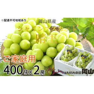 yӂ邳Ɣ[ŁzԂǂ 2025N s\ ƒp VC }XJbg  400g×2[ uhE  RY Y t[c ʕ | t[c ʕ  Hi lC  