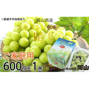 yӂ邳Ɣ[ŁzԂǂ 2025N s\ ƒp VC }XJbg  600g×1[ uhE  RY Y t[c ʕ | t[c ʕ  Hi lC  