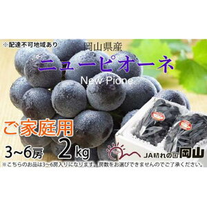 yӂ邳Ɣ[ŁzԂǂ 2025N s\ ƒp j[ sI[l 3`6[ 2kg uhE  RY Y t[c ʕ | t[c ʕ  Hi lC  