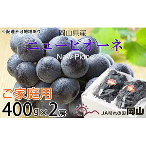 yӂ邳Ɣ[ŁzԂǂ 2025N s\ ƒp j[ sI[l 400g×2[ uhE  RY Y t[c ʕ | t[c ʕ  Hi lC  