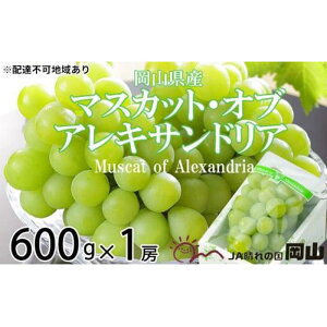 yӂ邳Ɣ[ŁzԂǂ 2025N s\ }XJbg EIuEALThA 600g×1[ 9{`9{ uhE  RY Y t[c ʕ Mtg | t[c ʕ 