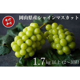 【ふるさと納税】厳選 シャインマスカット 2～3房 合計1.7kg以上 産地直送 朝採れ ぶどう 葡萄 Kawahara Green Farm 岡山県産 2026年 | フルーツ 果物 くだもの 食品 人気 おすすめ 送料無料