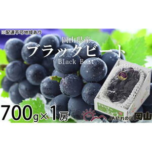 yӂ邳Ɣ[ŁzԂǂ 2026N ubNr[g 700g×1[ uhE  RY Y t[c ʕ Mtg | t[c ʕ  Hi lC  