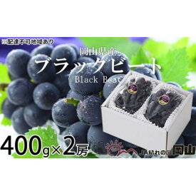 【ふるさと納税】ぶどう 2024年 先行予約 ブラックビート 約400g×2房 ブドウ 葡萄 岡山県産 国産 フルーツ 果物 ギフト[No.5220-1450] | フルーツ 果物 くだもの 食品 人気 おすすめ 送料無料