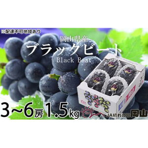 yӂ邳Ɣ[ŁzԂǂ 2026N ubNr[g 1.5kg 3[`6[ uhE  RY Y t[c ʕ Mtg | t[c ʕ  Hi lC  