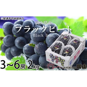 yӂ邳Ɣ[ŁzԂǂ 2026N ubNr[g 2kg 3[`6[ uhE  RY Y t[c ʕ Mtg | t[c ʕ  Hi lC  