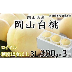 yӂ邳Ɣ[Łz 2026N R  C 3×300gi3LTCYjJA܂̂iEj   RY Y t[c ʕ Mtg |  t[c ʕ  Hi