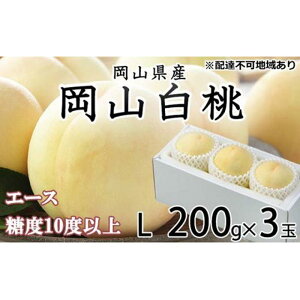 yӂ邳Ɣ[Łz 2026N R  G[X 3×200giLTCYjJA܂̂iEj   RY Y t[c ʕ Mtg |  t[c ʕ  Hi l