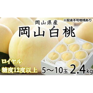 yӂ邳Ɣ[Łz 2026N R  C 5`10 2.4kg JA܂̂iEj   RY Y t[c ʕ Mtg |  t[c ʕ  Hi lC 