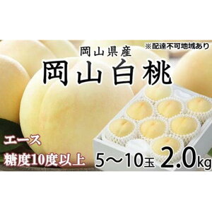 yӂ邳Ɣ[Łz 2026N R  G[X 5`10 2kg JA܂̂iEj   RY Y t[c ʕ Mtg |  t[c ʕ  Hi lC 