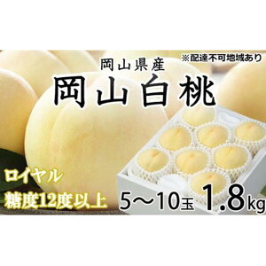 yӂ邳Ɣ[Łz 2026N R  C 5`10 1.8kg JA܂̂iEj   RY Y t[c ʕ Mtg |  t[c ʕ  Hi lC 